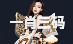 141期像图准吗-141期吗春节版下载V