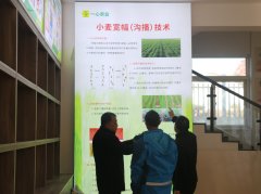 陕西省农学会正在合阳开展“智惠步履·科普帮力