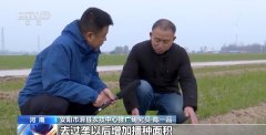 2024年终察看丨本年我国粮食产量初次冲破14万亿