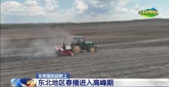 东北春播进度近三成 一键查看各地农业出产进度